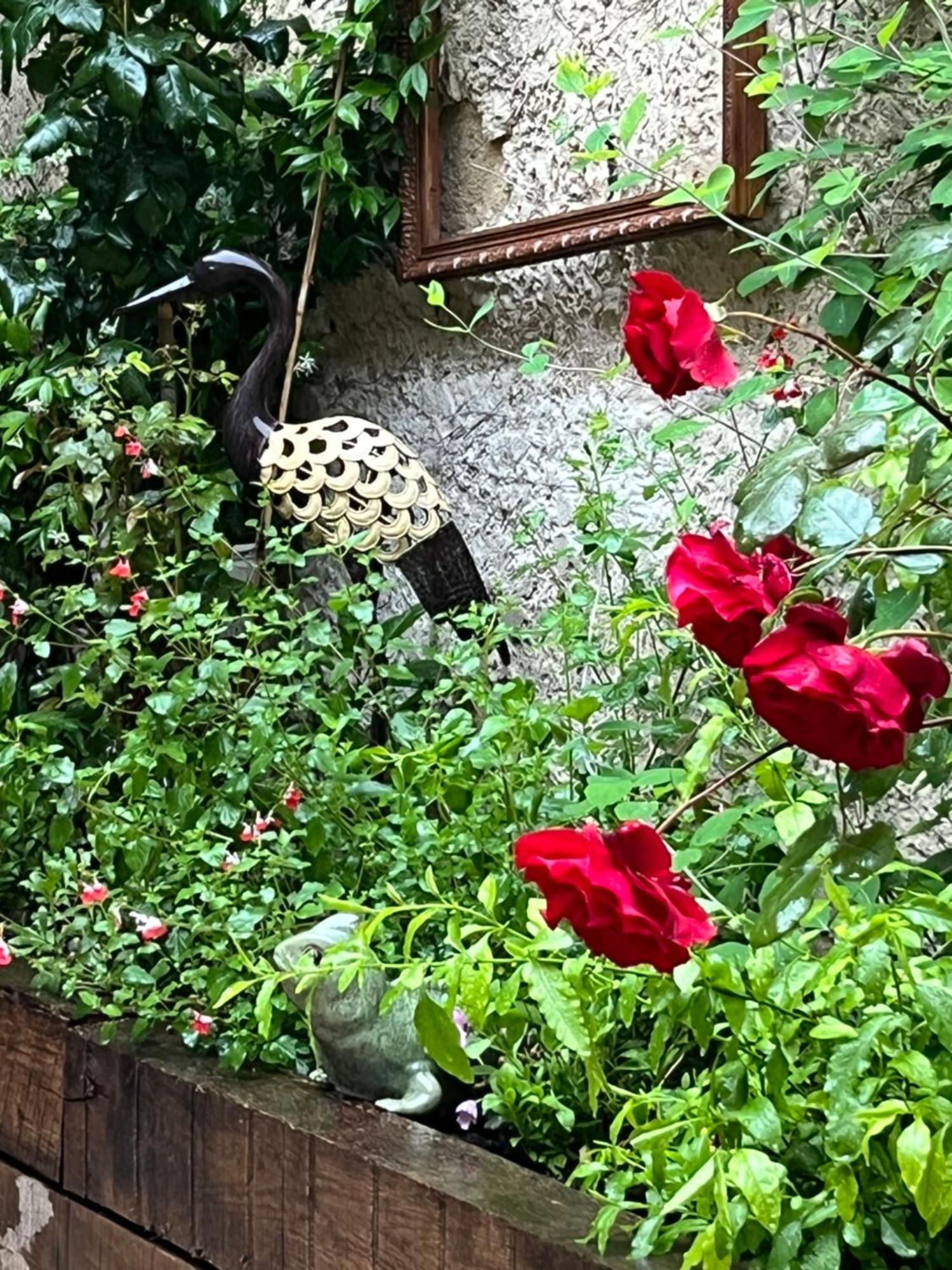 Le Clos D'orange - & De Provence